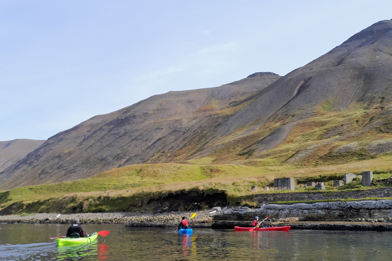 Siglufjörður / Siglufjordur: Geführte Kajaktour.Geführte Kajaktour in Siglufjörður / Siglufjordur.