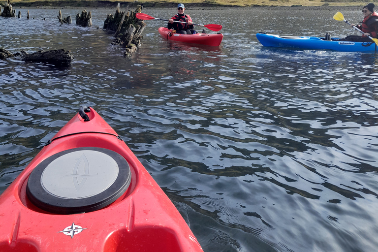 Siglufjörður / Siglufjordur: Private Guided kayak tour.