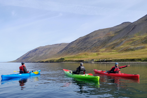 Siglufjörður / Siglufjordur: Private Guided kayak tour.