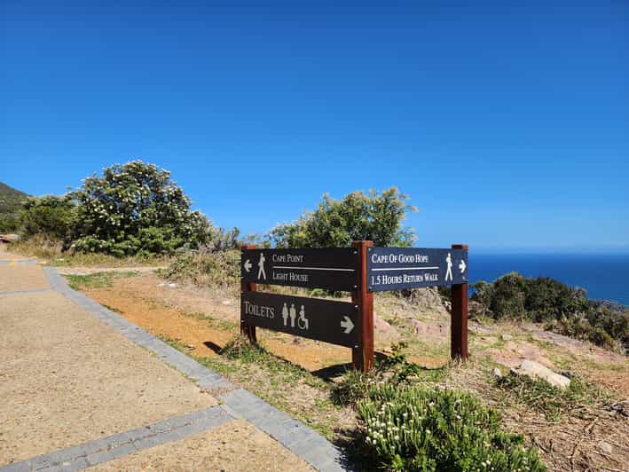 From Cape Town: Cape Point & Boulders Beach Full-Day Tour | GetYourGuide