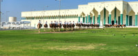 Doha, Stadtführungen mit Hin- und Rückfahrt - Hizvo