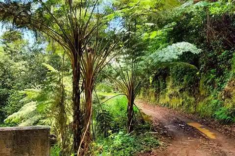 Funchal: Excursión Privada Personalizada en 4x4 por la Isla de Madeira