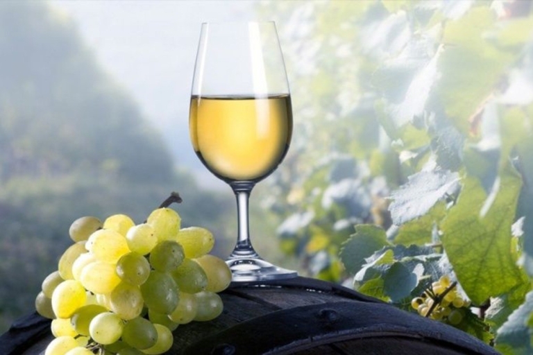 Santorini: privé begeleide wijntour