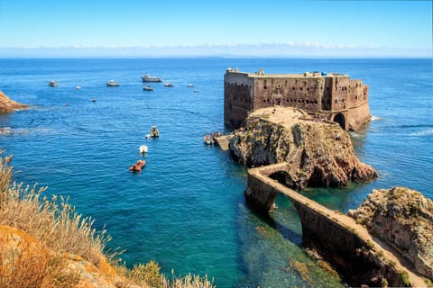 From Lisbon to Berlenga's Island and Obidos