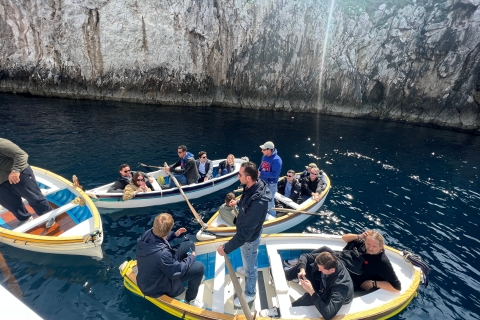 Van Napels: Ronde van Capri en Blue GrottoVan Napels: Ronde van Capri