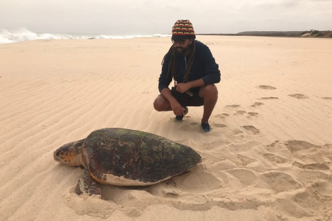 Van Boa Vista: schildpadden kijken, nestelen - avondtourGedeelde rondleiding