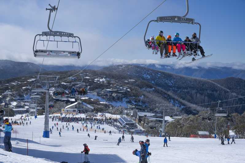 mt buller day tour from melbourne