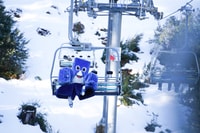 From Melbourne, Day Trip to Mt Buller by Premium Tour Coach - Housity