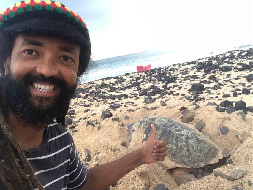 From Boa Vista: Turtle Watching and Nesting Evening Tour | GetYourGuide