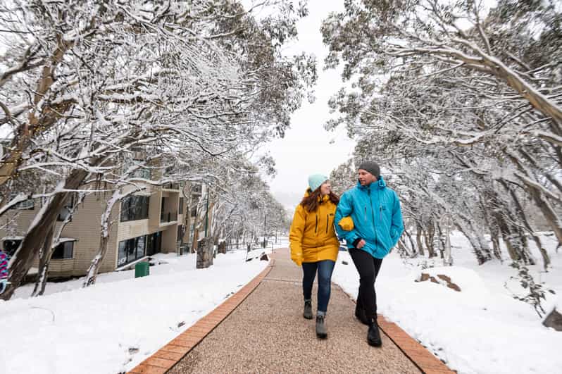 From Melbourne Day Trip to Mount Buller Resort by Bus GetYourGuide