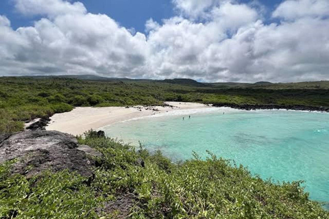 San Cristóbal: El Junco, Galapaguera & Puerto Chino Tour