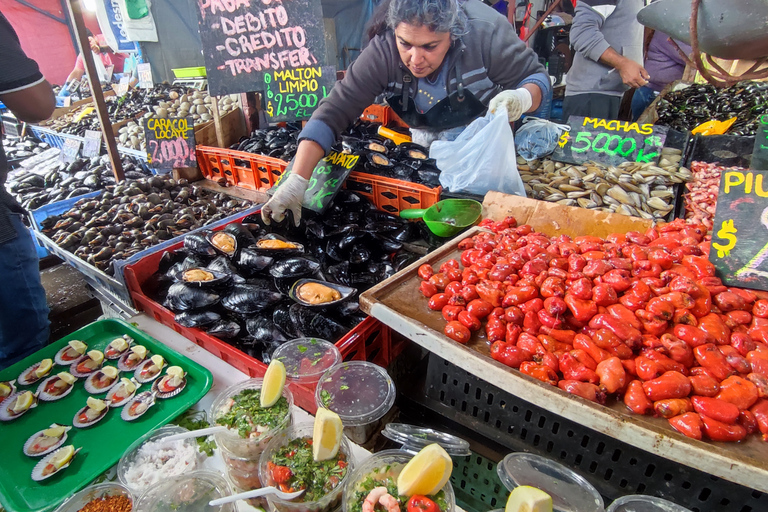 Valparaíso: Un Tour Privado con un guía local experimentado.