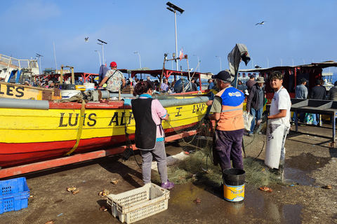 Valparaíso: een privétour met een ervaren lokale gids.