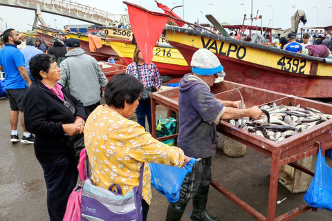 Valparaíso: Full-Day Private Tour with Funicular Ride