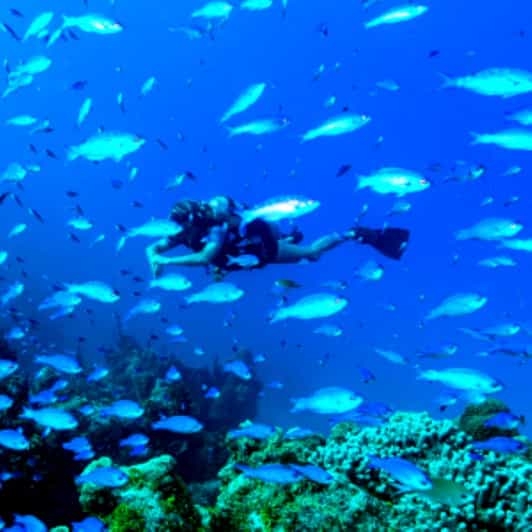 Mahahual: 1, 2 or 3 Tank Diving Experience