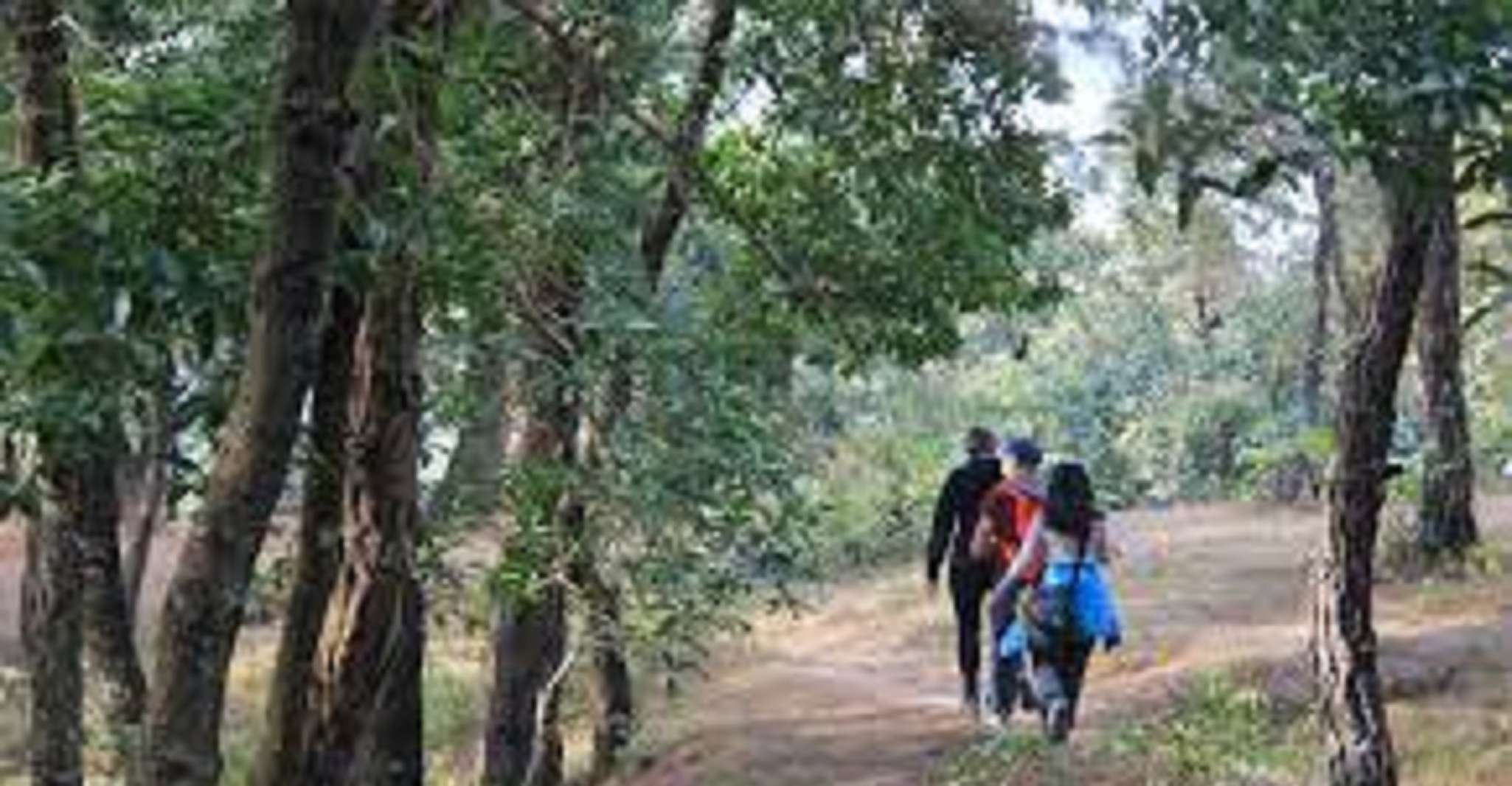 Katmandu, Özel Bir Gün Nagarkot Gündoğumu ve Yürüyüş Gezisi - Hizvo