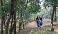 Katmandou, un jour privé Nagarkot Lever du soleil et voyage de randonnée - Hizvo