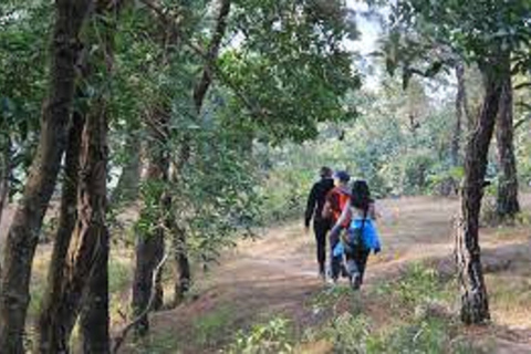 Excursion au lever du soleil à Nagarkot et randonnée au temple de Changunaryan