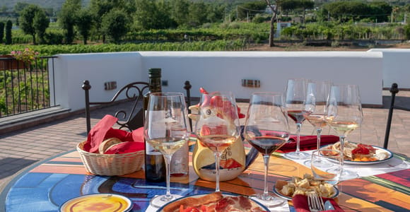 Pompeii: Wine Tasting Experience, Vineyards Tour and Lunch
