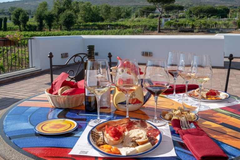 Pompei: Vesuvius Vineyards Tour with Wine Tasting and Lunch Tour with Meeting Point