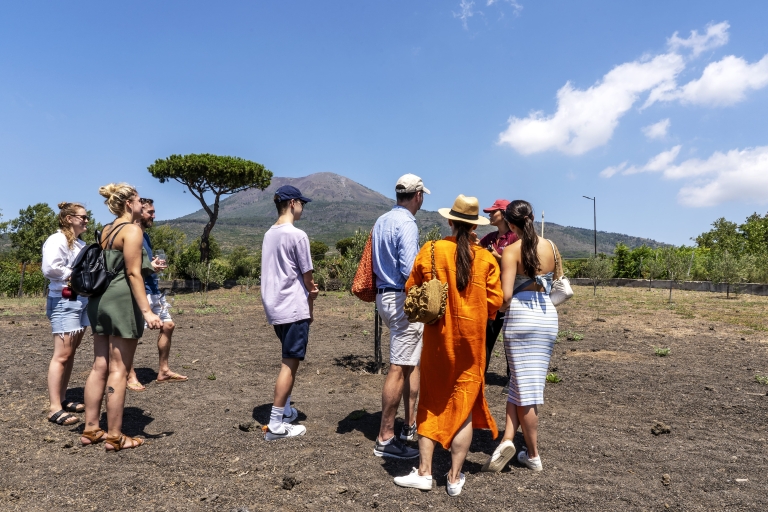 Pompei: rondleiding Vesuvius-wijngaarden met wijnproeverij en lunchTour met ontmoetingspunt