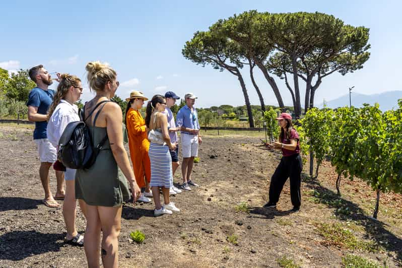 vesuvius wine tour