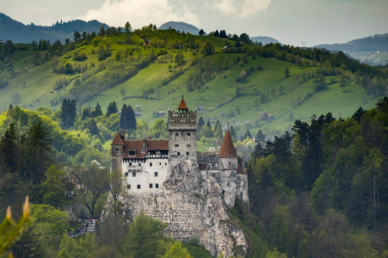 Desde Bucarest: Bran, Castillo de Peles y Brasov Excursión Privada de un Día