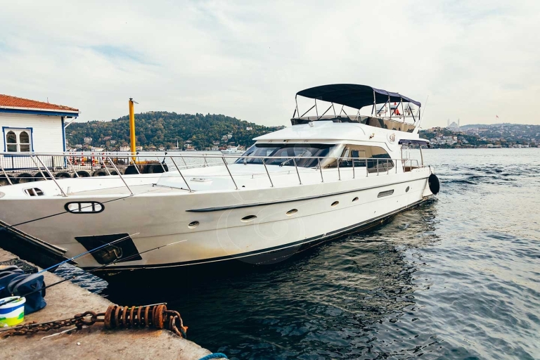 Istanbul : Dégustation de vins de luxe sur un yacht privé