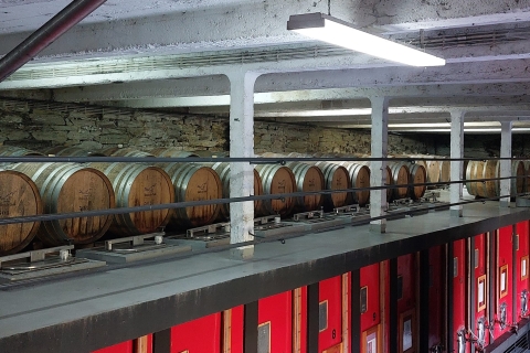 Porto: Full-Day Douro Valley Wine Tour Private Tour