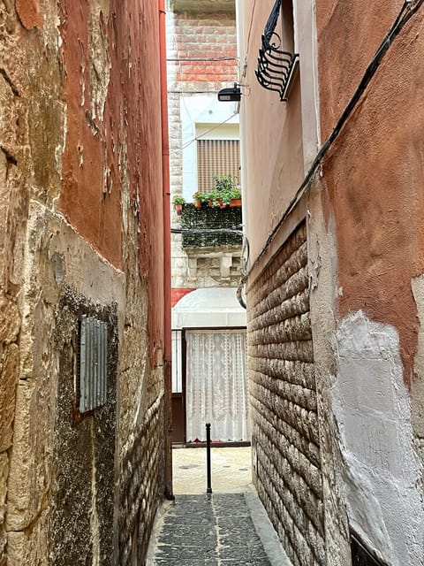 Bari Private Food And Walking Tour Getyourguide