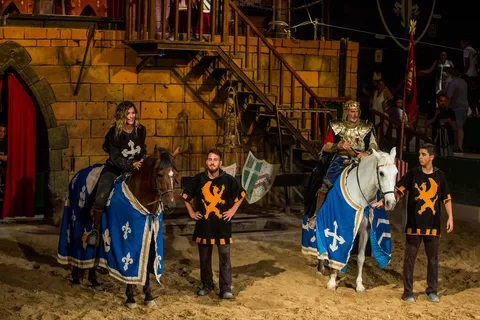 Benidorm: Abendessen mit Show im Magic Robin Hood