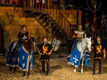 Benidorm : Dîner avec spectacle au Magic Robin Hood