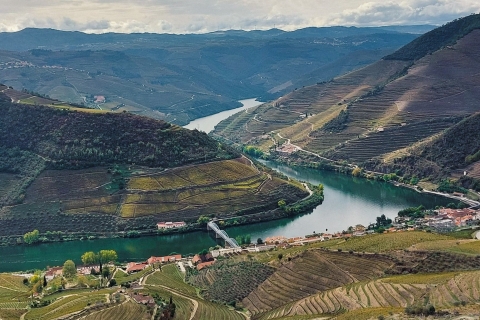Porto: Full-Day Douro Valley Wine TourPrivérondleiding