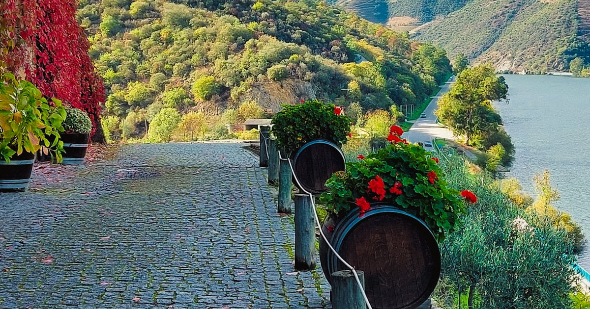 Von Porto Aus Ganzt Gige Weintour Durch Das Douro Tal Getyourguide