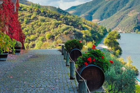 Porto: Full-Day Douro Valley Wine TourPrivérondleiding