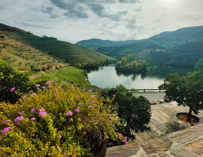 From Porto FullDay Douro Valley Wine Tour GetYourGuide