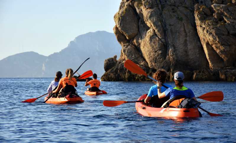 Golfo Aranci: kayak con avvistamento delfini e aperitivo