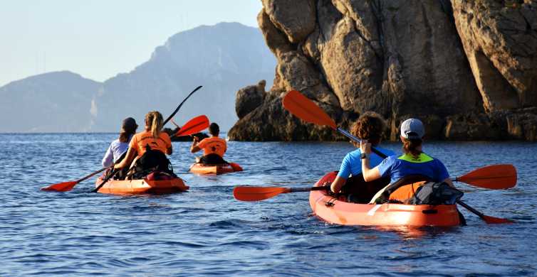 Golfo Aranci: tour en Kayak con delfines y aperitivo