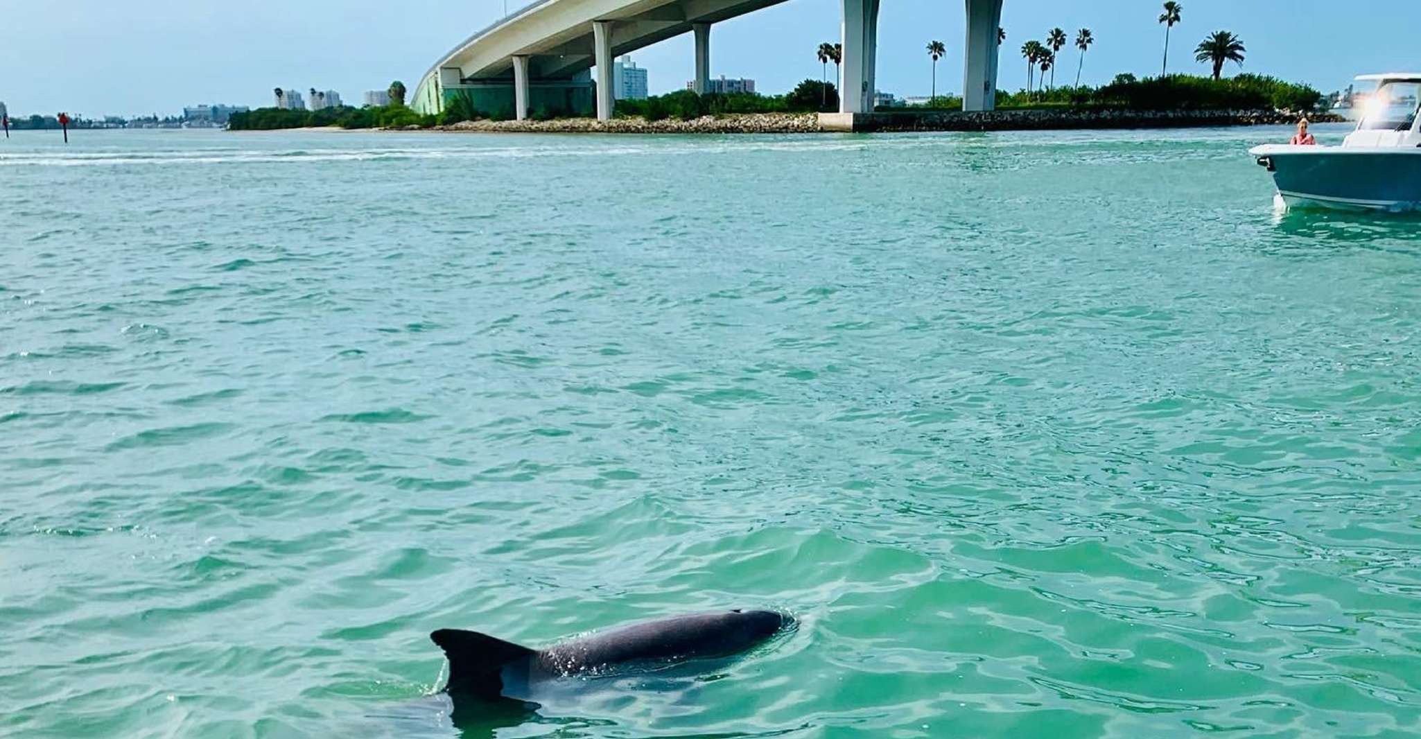 Clearwater Beach, Tours privados de Pontoon - Hizvo