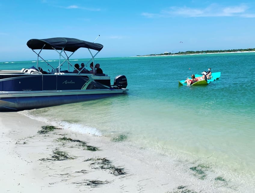 Clearwater Beach Private Pontoon Tours GetYourGuide