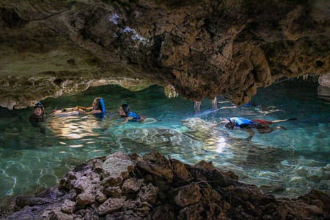 Puerto Morelo: Cenote Snorkeling Tour and Mayan Ceremony