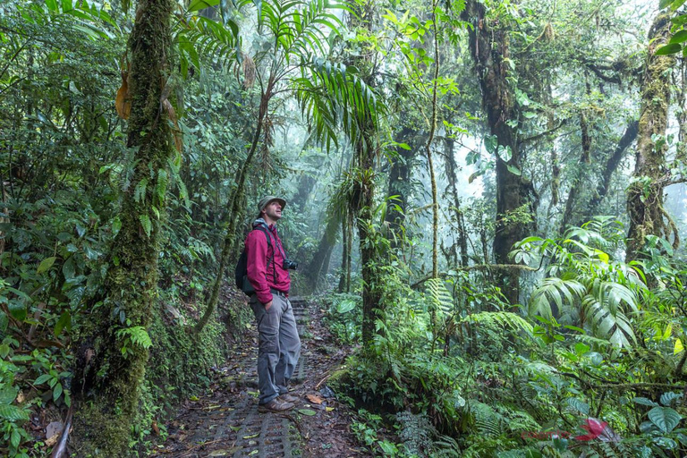 La Fortuna: tour mattutino del vulcano Arenal, pranzo e sorgenti termaliVulcano Arenal, pranzo e tour mattutino di Hotsprings
