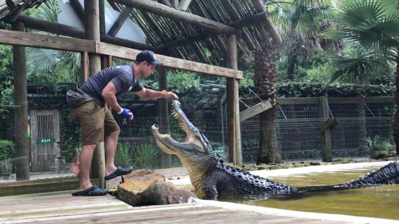 Orlando: Wild Florida Park, Gator Show & Animal Encounters