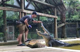 Orlando: Wild Florida Park, Alligator-Show & Tierbegegnungen
