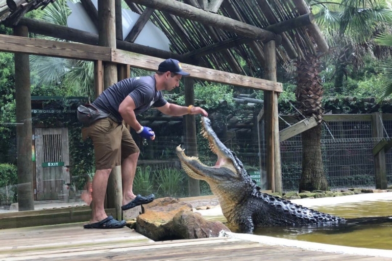 Orlando: entrada a Wild Florida y espectáculo de caimanes