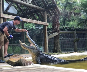 Orlando: Wild Florida Park Ticket and Gator Shows