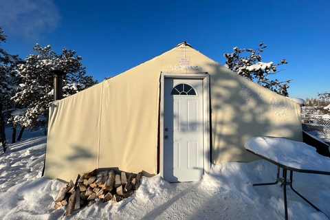 Yellowknife: Dog Sledding Tour