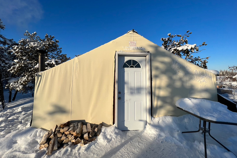 Yellowknife: Dog Sledding Tour