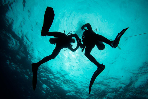 2 Ocean dyk: MUSA Underwater Museum och Manchones Reef