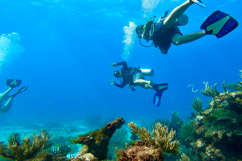 2 Ocean dyk: MUSA Underwater Museum och Manchones Reef